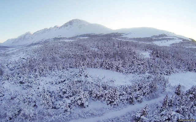 Aerial photograph of the Alaskan wilderness - tree-covered slopes of a mountain range before dusk, with snow blanketing the scene. Photo by Brennan Zelener