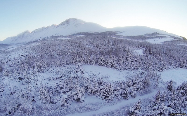 Aerial photograph of the Alaskan wilderness by Brennan Zelener Aerial photograph of the Alaskan wilderness - tree-covered slopes of a mountain range before dusk, with snow blanketing the scene. Photo by Brennan Zelener