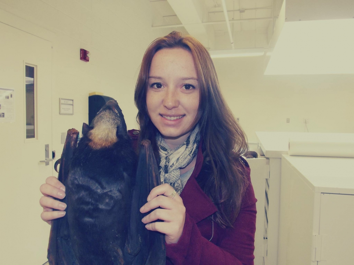 A woman stands in a lab, holding up a large specimen of a fruit bat.