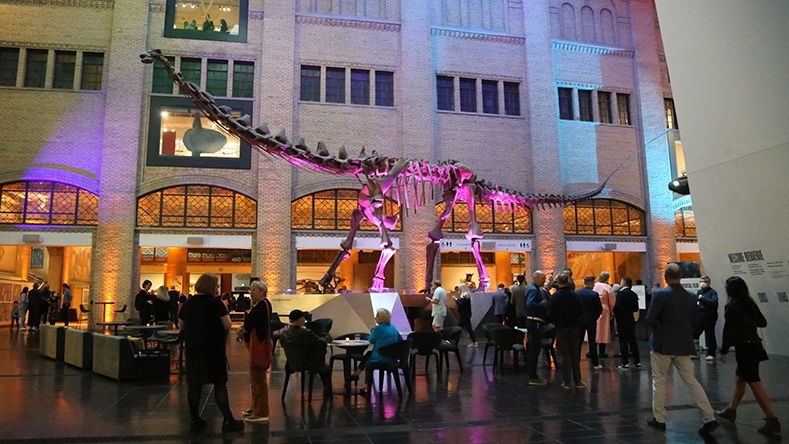 In and Around Toronto: Friday Night Live @ the ROM