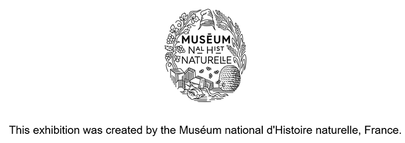 Muséum national d'Histoire naturelle logo