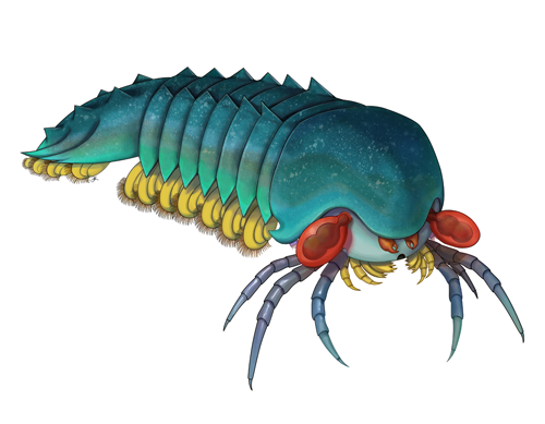 Reconstruction of Mollisonia plenovenatrix, by Joanna Liang ©Royal Ontario Museum