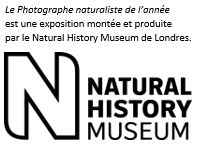 nhm_french.png