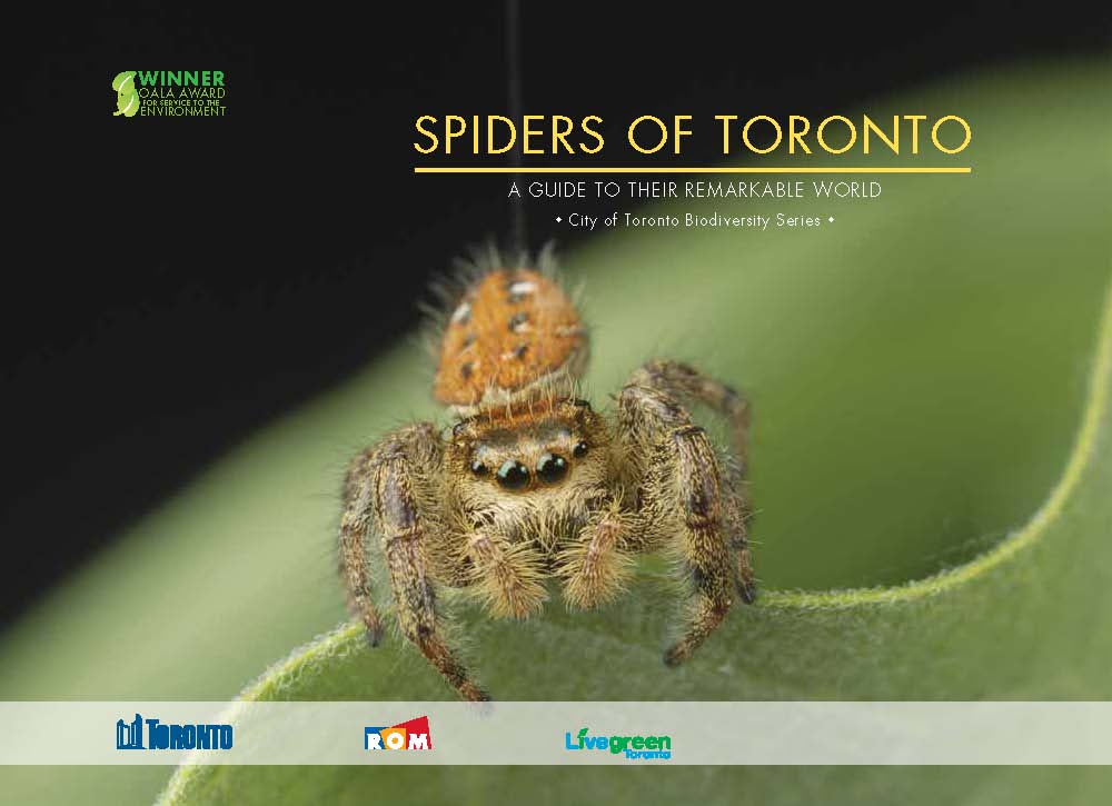 Spiders of Toronto: A Guide to Their Remarkable World
