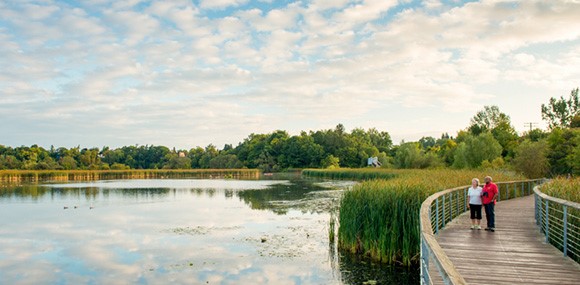 two people standing to the left on a boardwalk overlooking wetland and forest