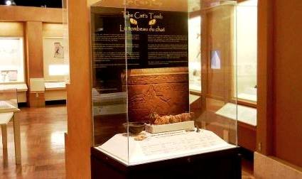 The cat mummy display in the ROM's Egypt Galleries.