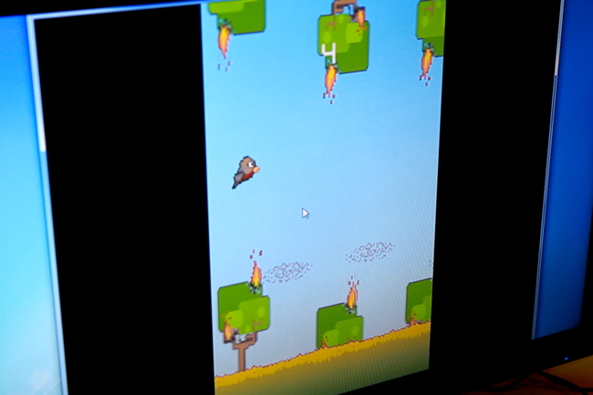 a screenshot of a video game about passenger pigeons