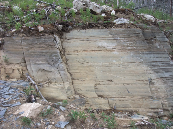 Fossil Quarry