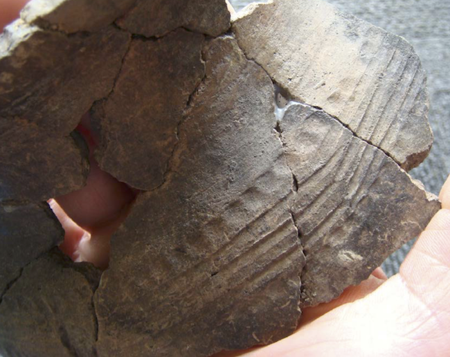 17th-century Huron pottery fragment