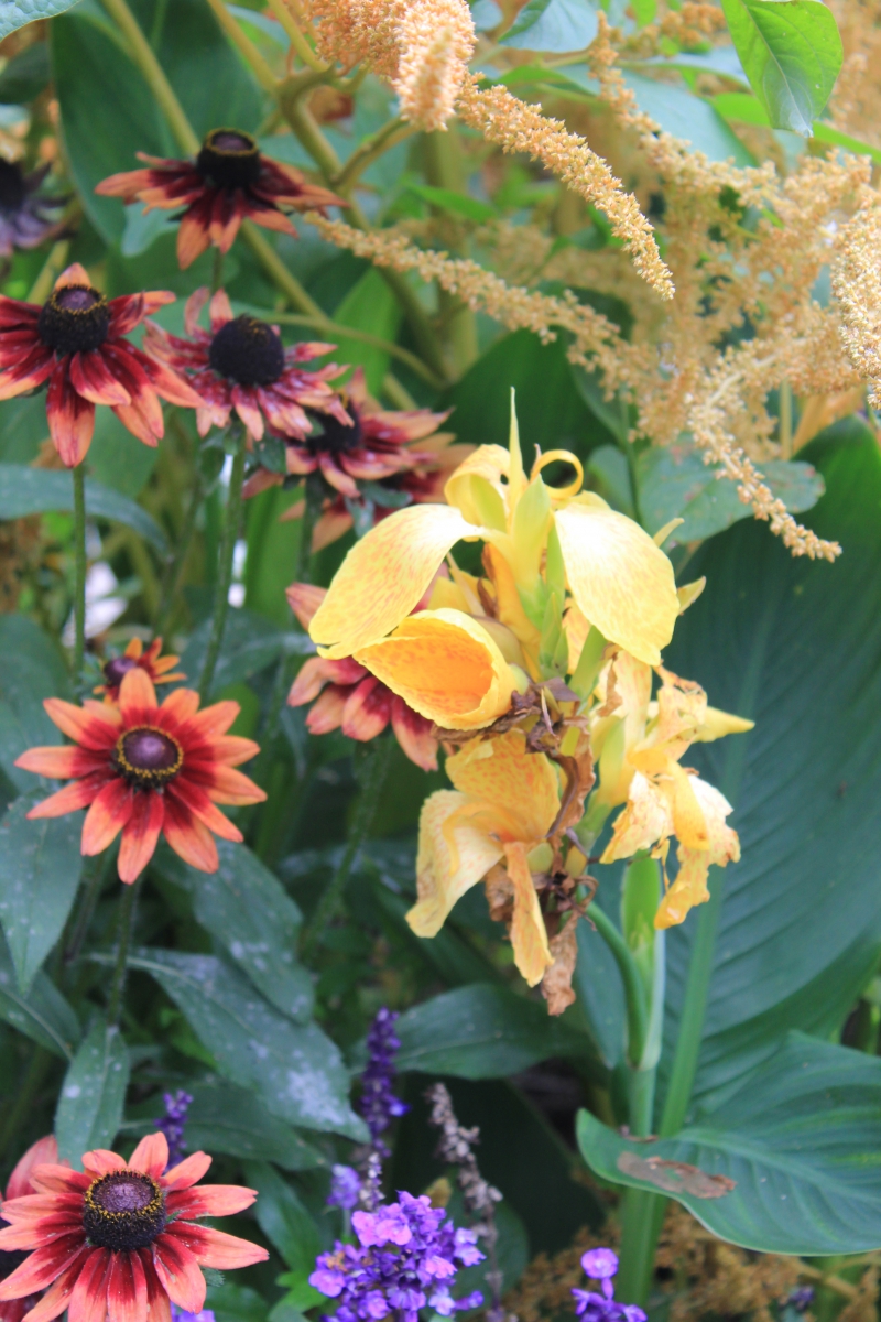 Orange, yellow, and pink flowers