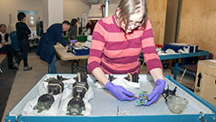 Registrar handling museum objects.