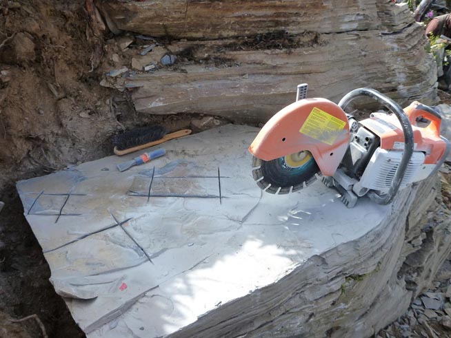 Rock saw marks are used to show where fossils are before they are extracted from the blocks at Stephen Formation near Marble Canyon