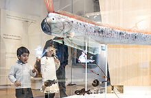 Two children looking at an exhibit