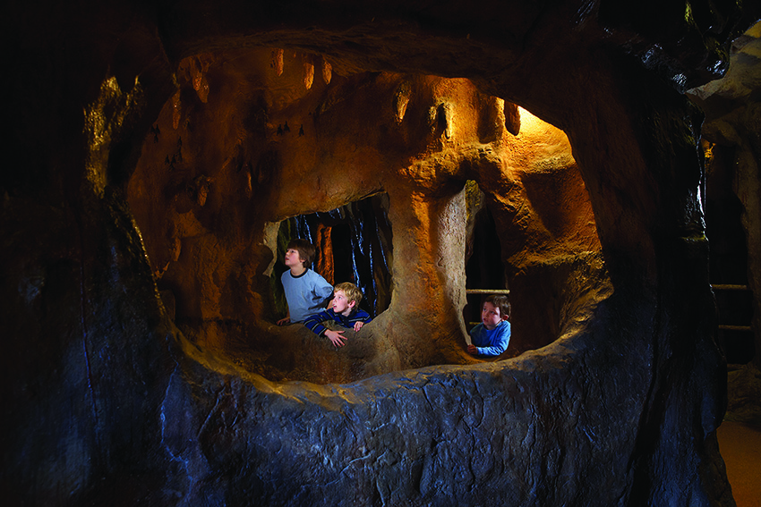 Children visiting the Bat Cave at the Royal Ontario Museum. 