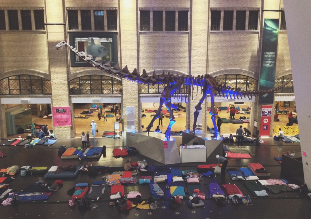 Bunk down for the night at Toronto’s ultimate backstage museum pass at the Royal Ontario Museum!