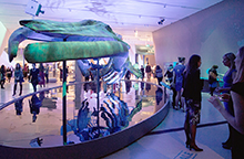 Visitors in the Patrick and Barbara Keenan Family Gallery of Hands-on Biodiversity