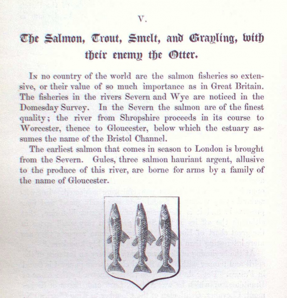 'The Salmon etc.' in Thomas Moule, Heraldry of Fish. London: 1842.