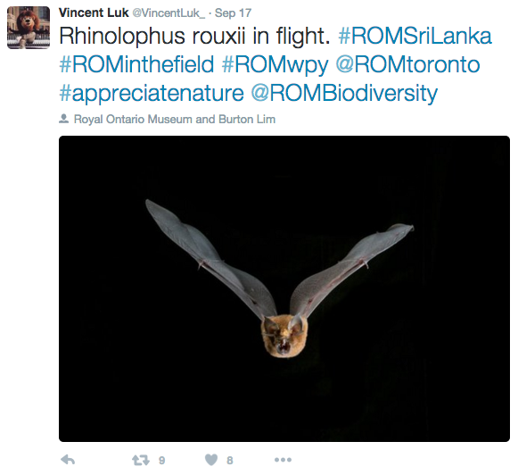 screenshot from a tweet by Vincent Luk that he shared while on assignment in Sri Lanka to share the experience with ROM followers back home in Canada