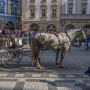 In Prague’s Old Town Square, Czech Republic. © Jerzy Strzelecki, Wikimedia Commons, 2015.