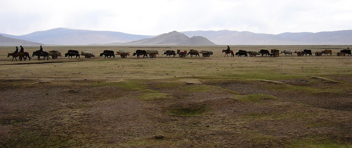 A horse and oxen pull carts across the grassy expanse of the Mongolian steppe.