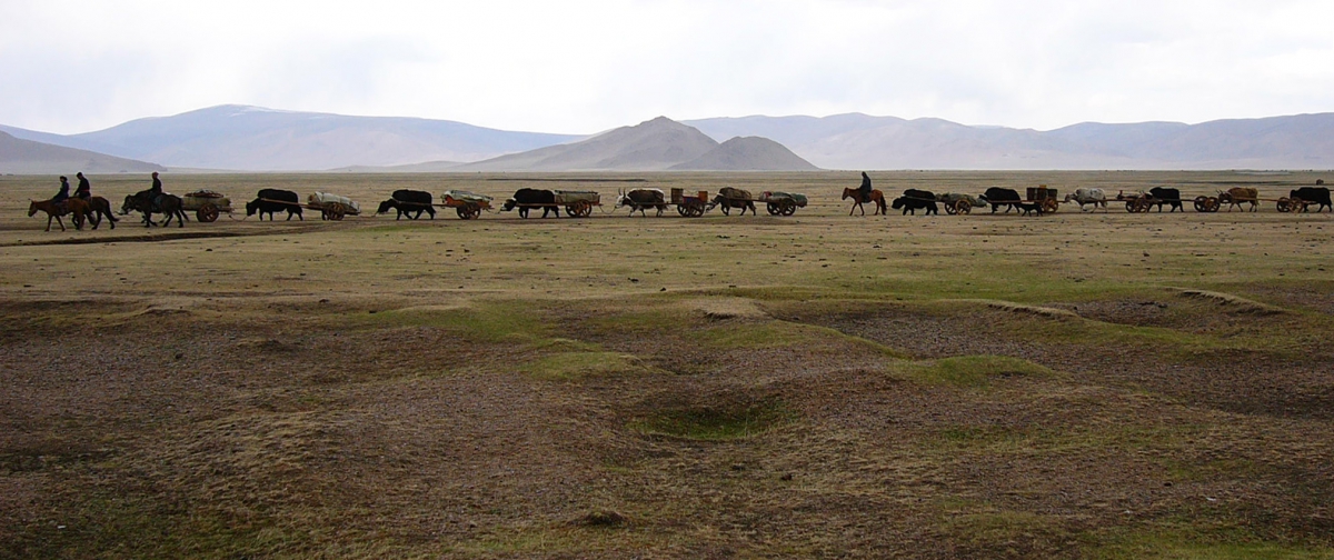 On the Move. Northern Gobi Desert, Mongolia. | Photo by Toni Davies, Volunteer, Patrick & Barbara Keenan Family Hands-on Gallery of Biodiversity A horse and oxen pull carts across the grassy expanse of the Mongolian steppe.