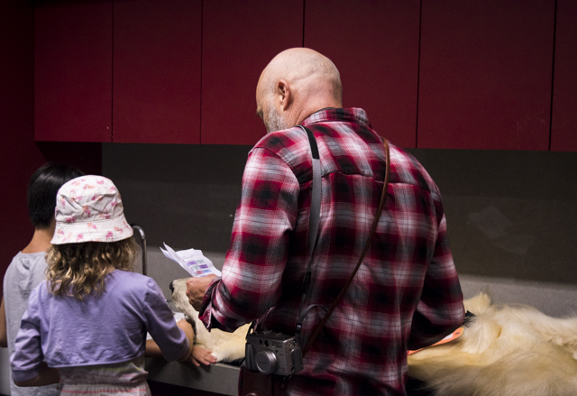 Students from the choir worked alongside Bill Burns in the ROM's collections on September 19th. Photo by Teghan Dodds