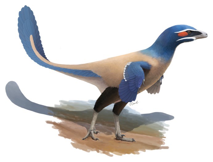 Life recreation of Albertavenator curriei.