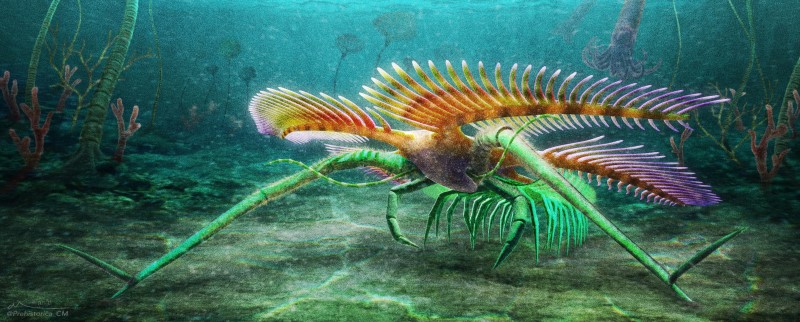 Life reconstruction of Tomlinsonus dimitrii