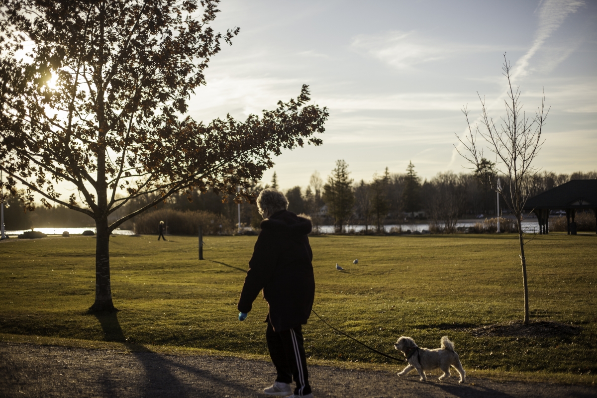 Woman walking her dog by a large tree in a park