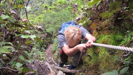 Simona, mont Mulu, Bornéo