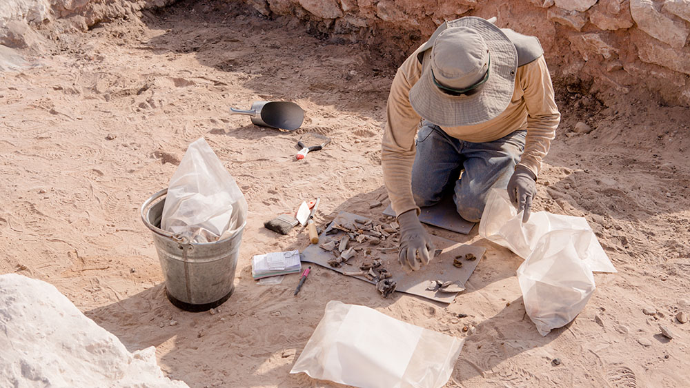 Archaeologists onsite in the field.