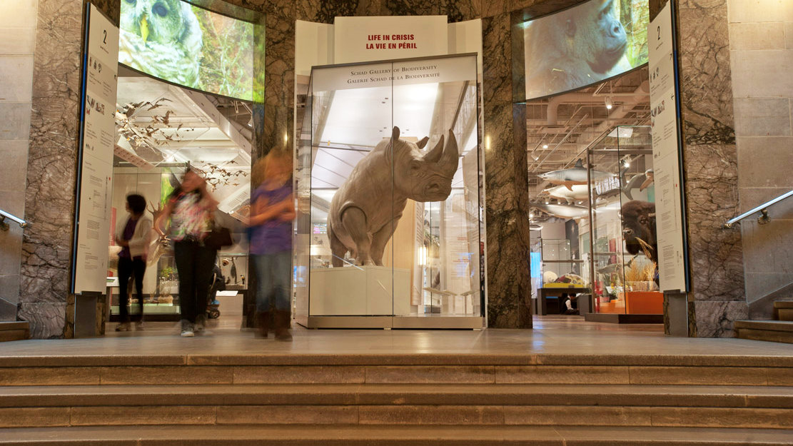 Royal Ontario Museum Toronto