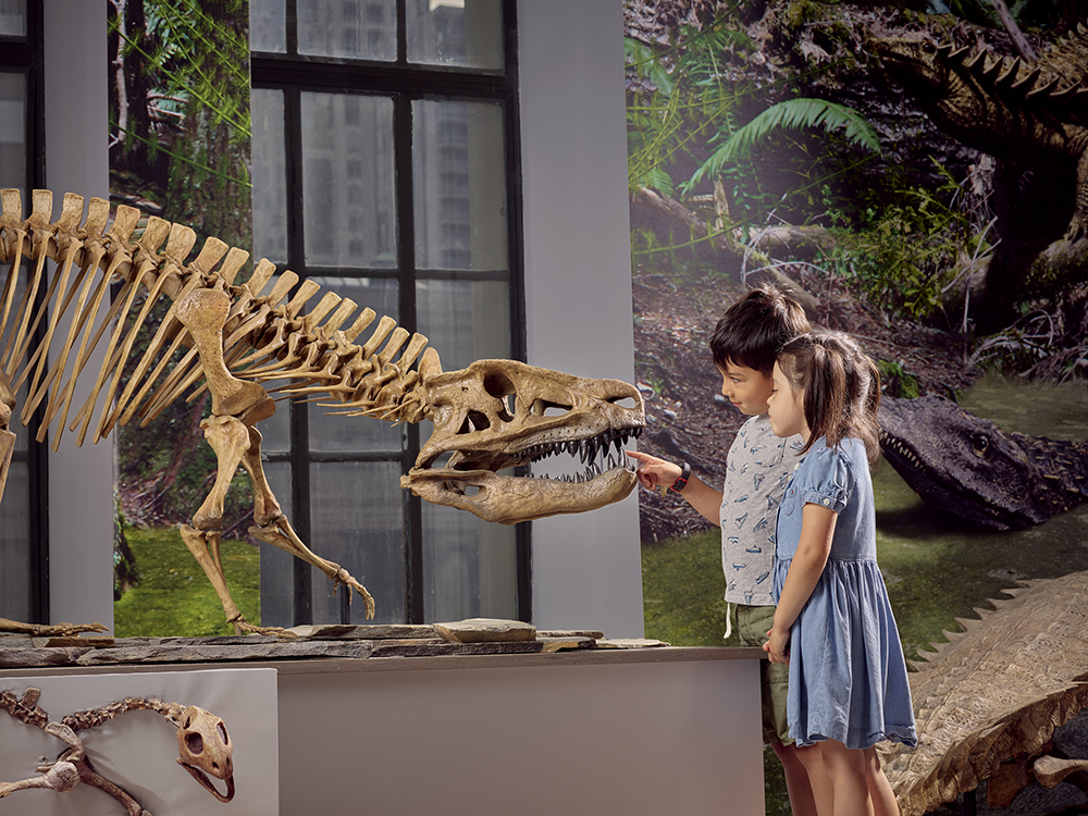 Image of a kids with a dinosaur