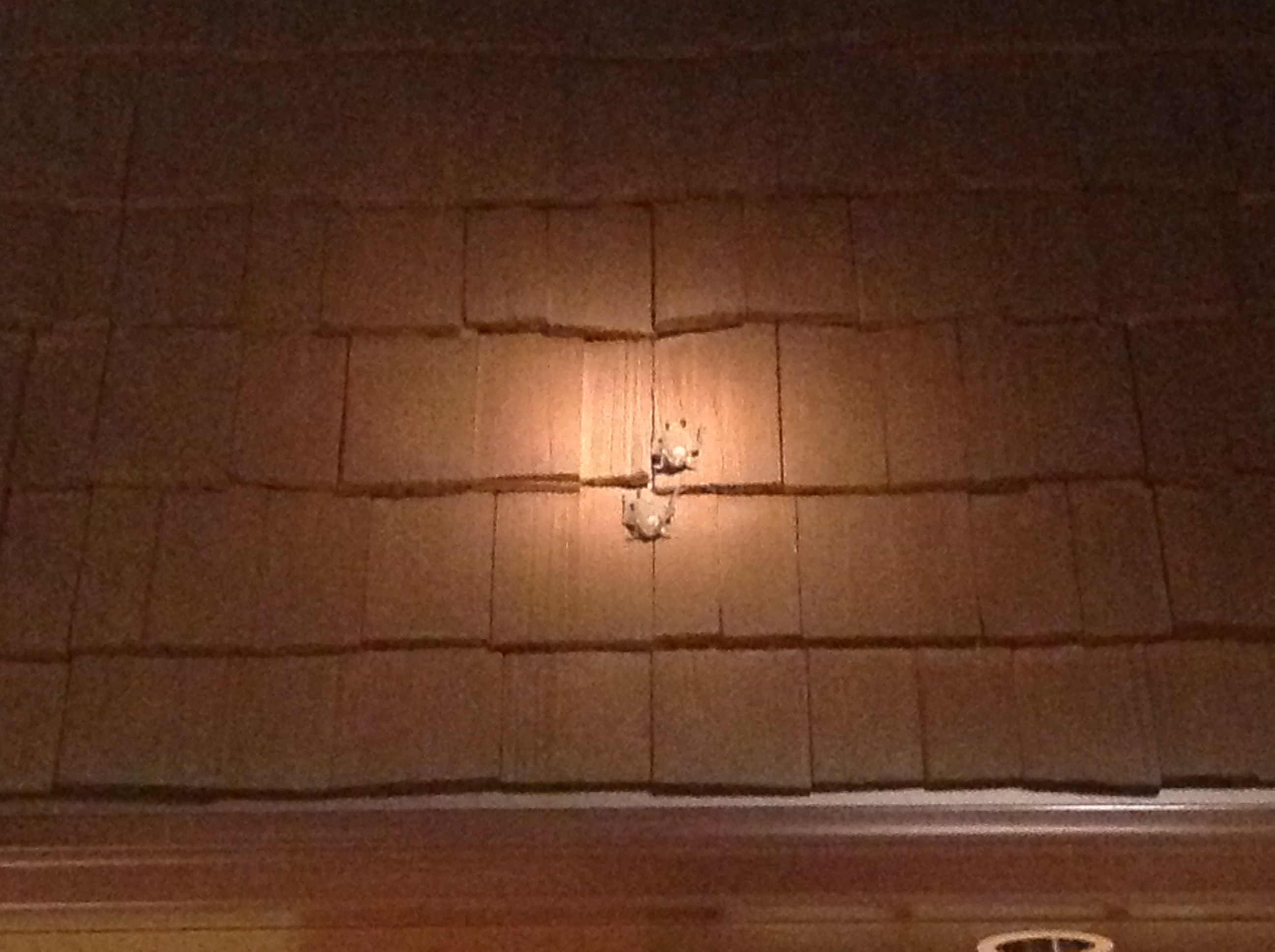Two model bats roost on the shingles of a model house.
