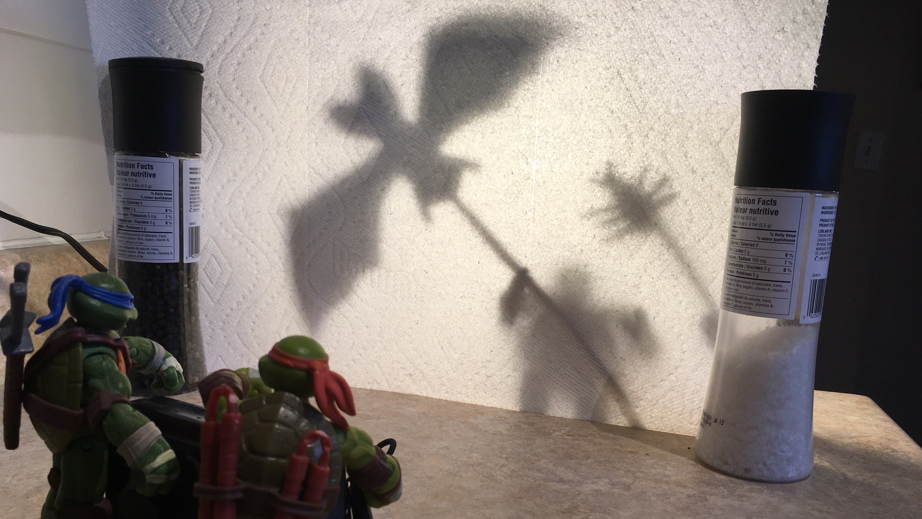 Two action figures with a camera record a shadow play of a bat and a cockroach.