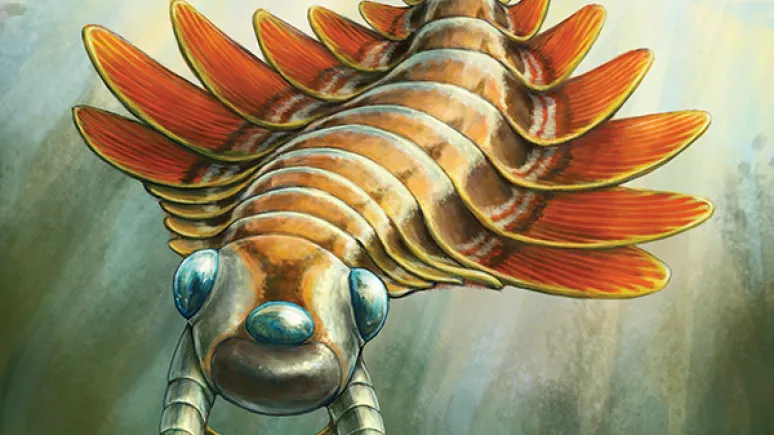 Life reconstruction of Mosura fentoni, art by Danielle Dufault © ROM
