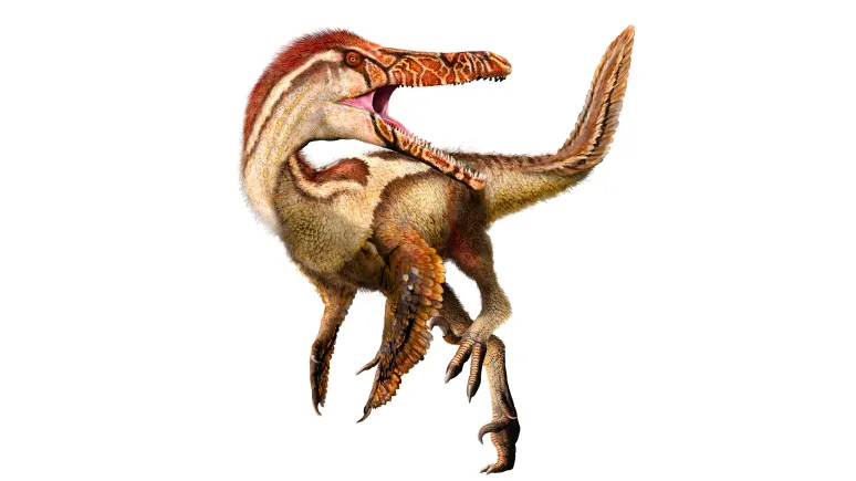 Austroraptor cabazai illustration by Julius Csotonyi