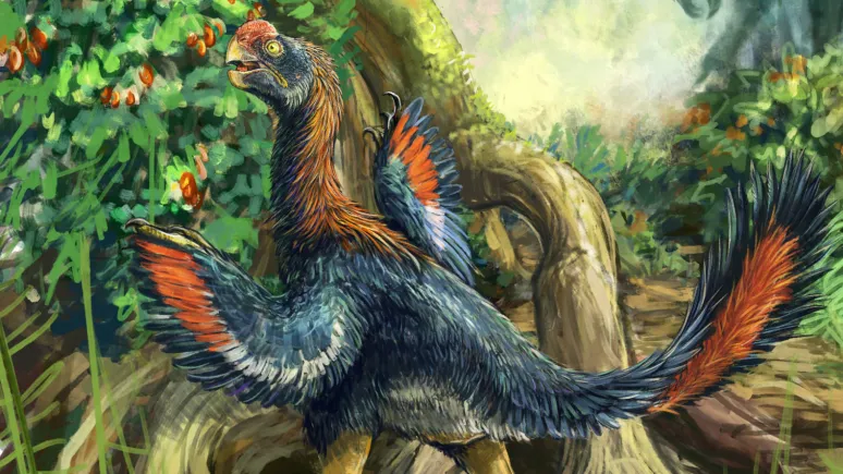 Life reconstruction of the Hell Chicken Infernogallus munching on early fruit.