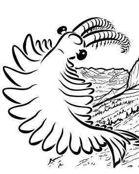 Illustration of Burgess Shale