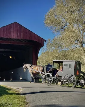 Horse and buggy entering Kissing Bridge 