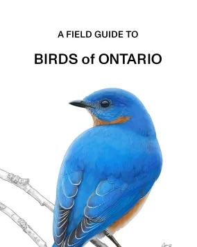 Birds of Ontario cover book