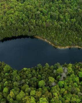 Drone shot of Crawford Lake