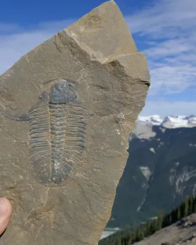 A rock being held in front of nature.