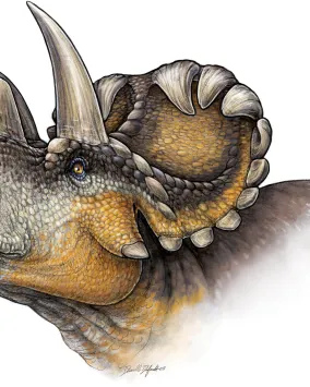 Life reconstruction of Wendiceratops pinhornenis. Credit: Danielle Dufault.