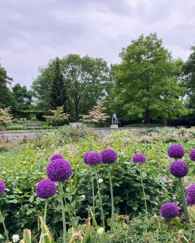 Royal Botanical Garden - Hendrie Park