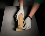 Photographer carefully placing collection item for photographing