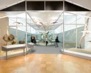 People move around a gallery surrounded by birds suspended mid-flight.
