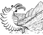 Illustration of Burgess Shale