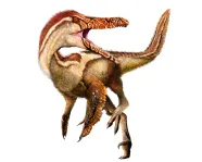 Illustration de l'Austroraptor cabazai par Julius Csotonyi