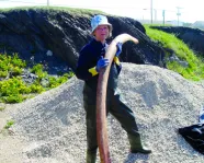 A photograph of a woman holding a bone of a blue whale.
